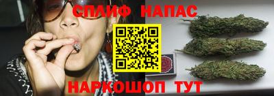 индика Донской