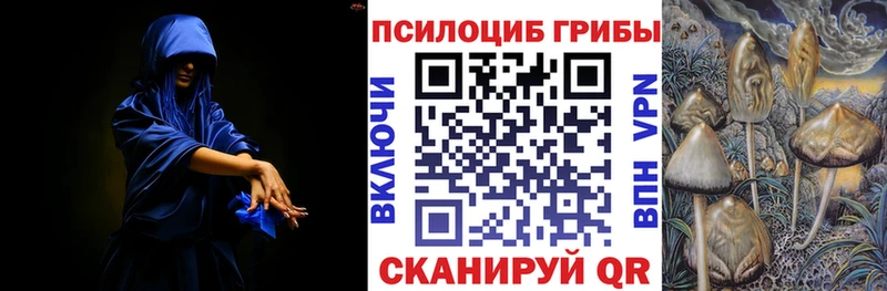 Галлюциногенные грибы Psilocybe Алапаевск