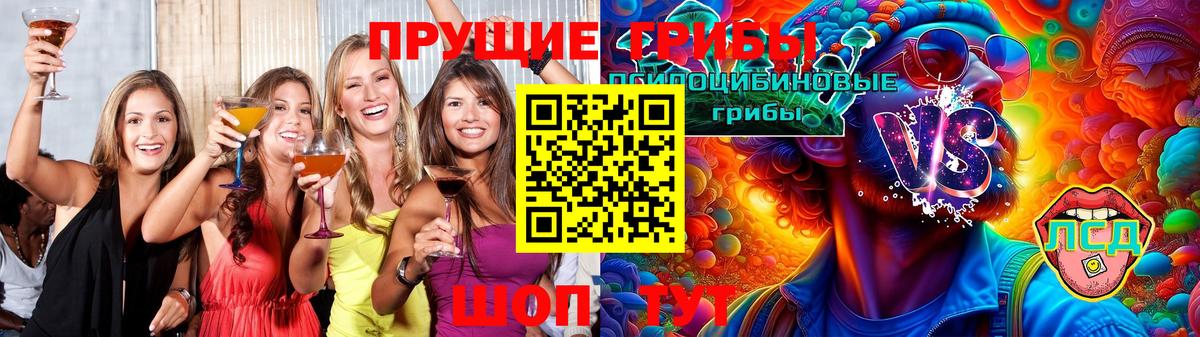 Галлюциногенные грибы Psilocybe Алапаевск