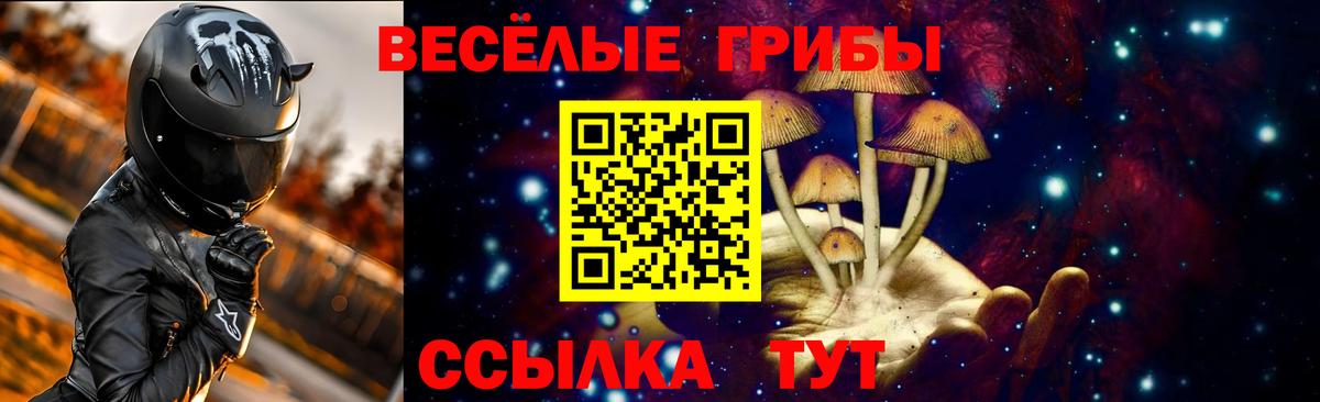 Галлюциногенные грибы ЛСД  Вход с VPN  Алапаевск  Галлюциногенные грибы GOLDEN TEACHER 
